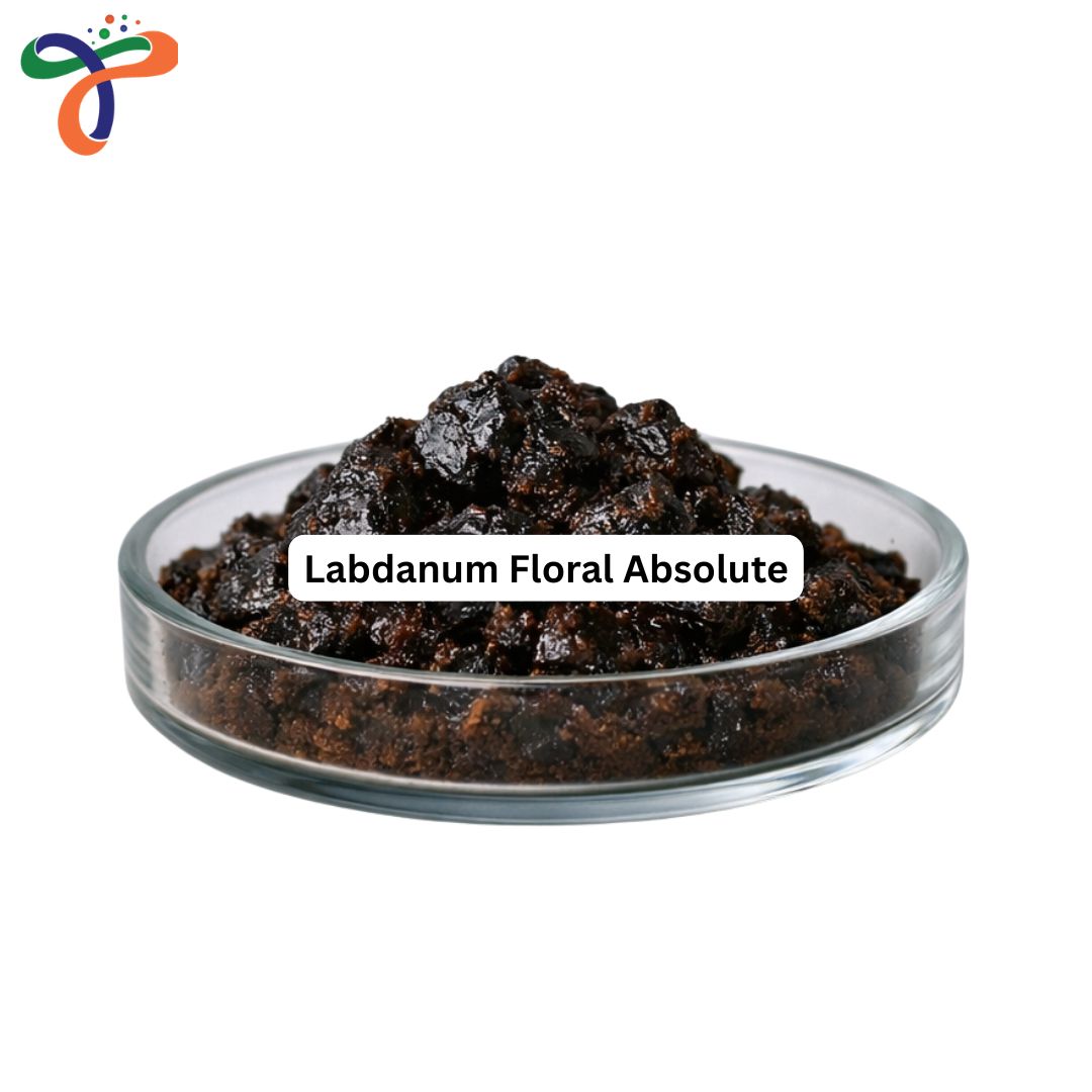Labdanum Floral Absolute